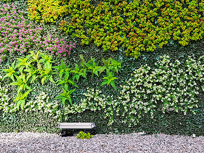 fotos proyectos 07 jardines verticales